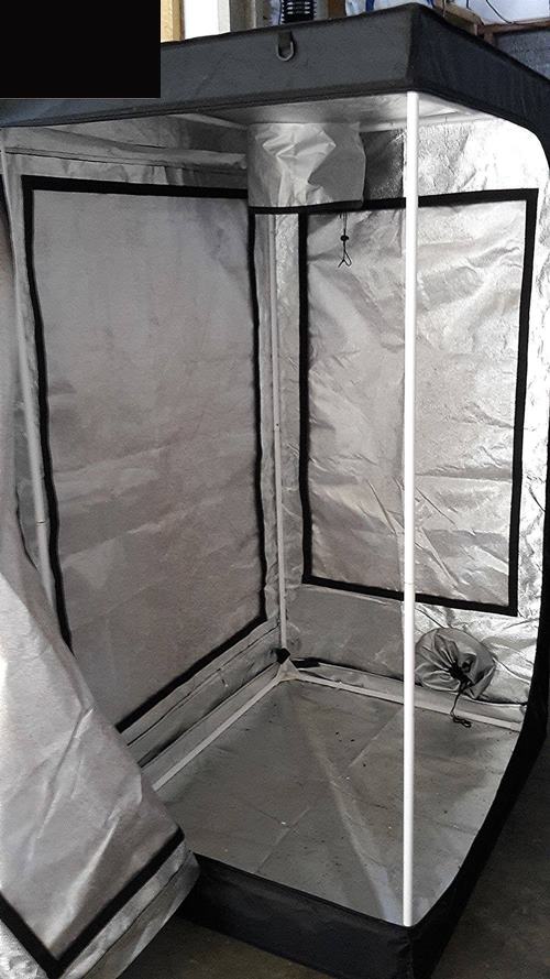 Start your own Mushroom business!